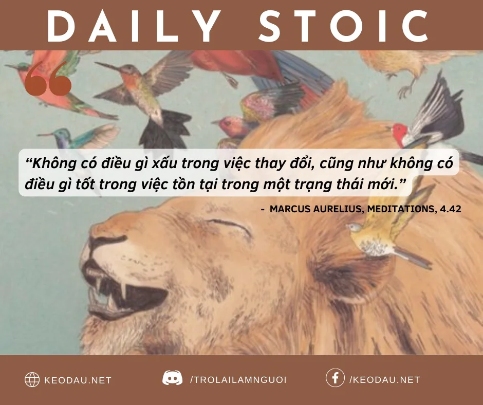 Stoic Hang Ngay 4 11